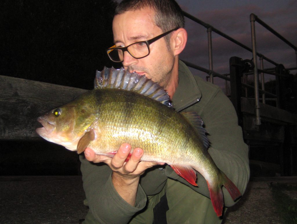 Big perch river stort