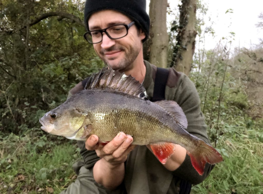 lea valley perch fishing