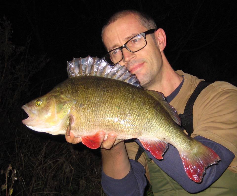 Perch fishing at night