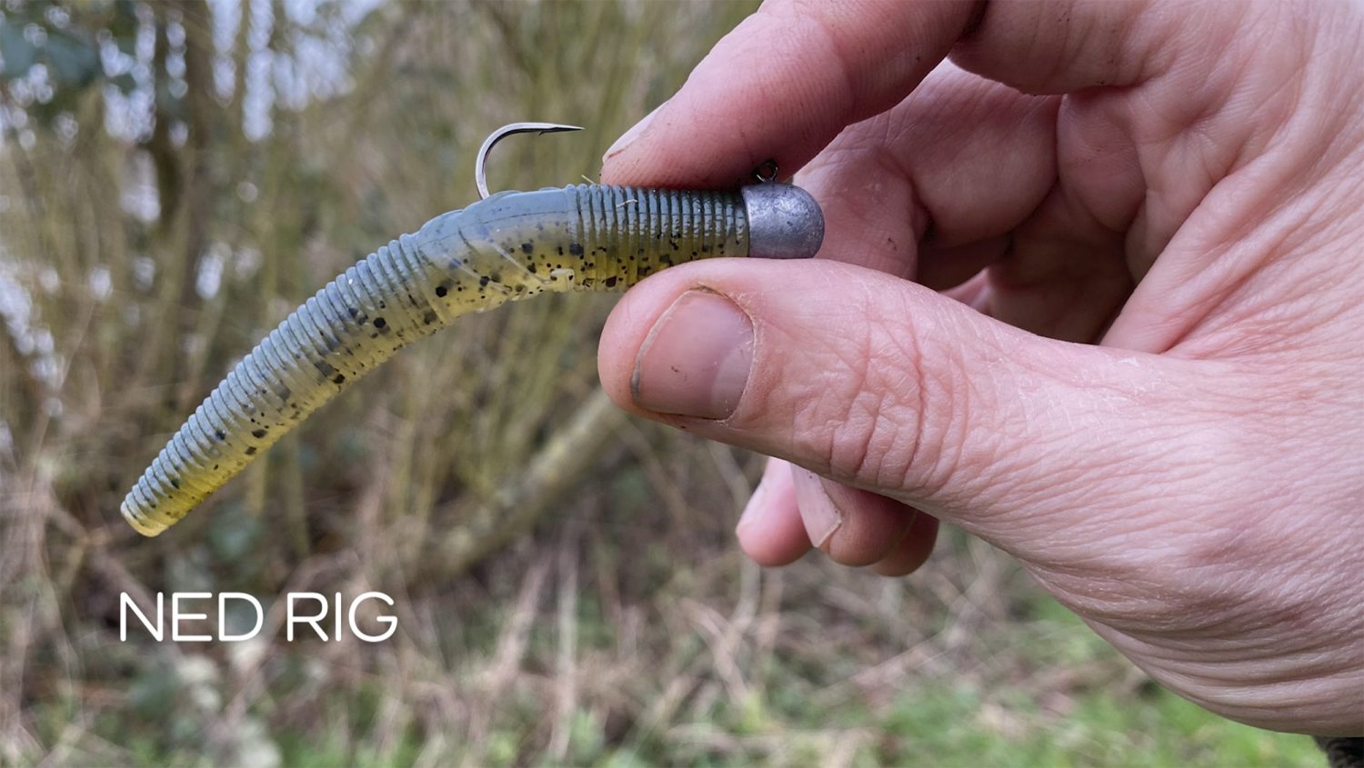 Perch Fishing The Ned Rig - Finesse tackle and approach
