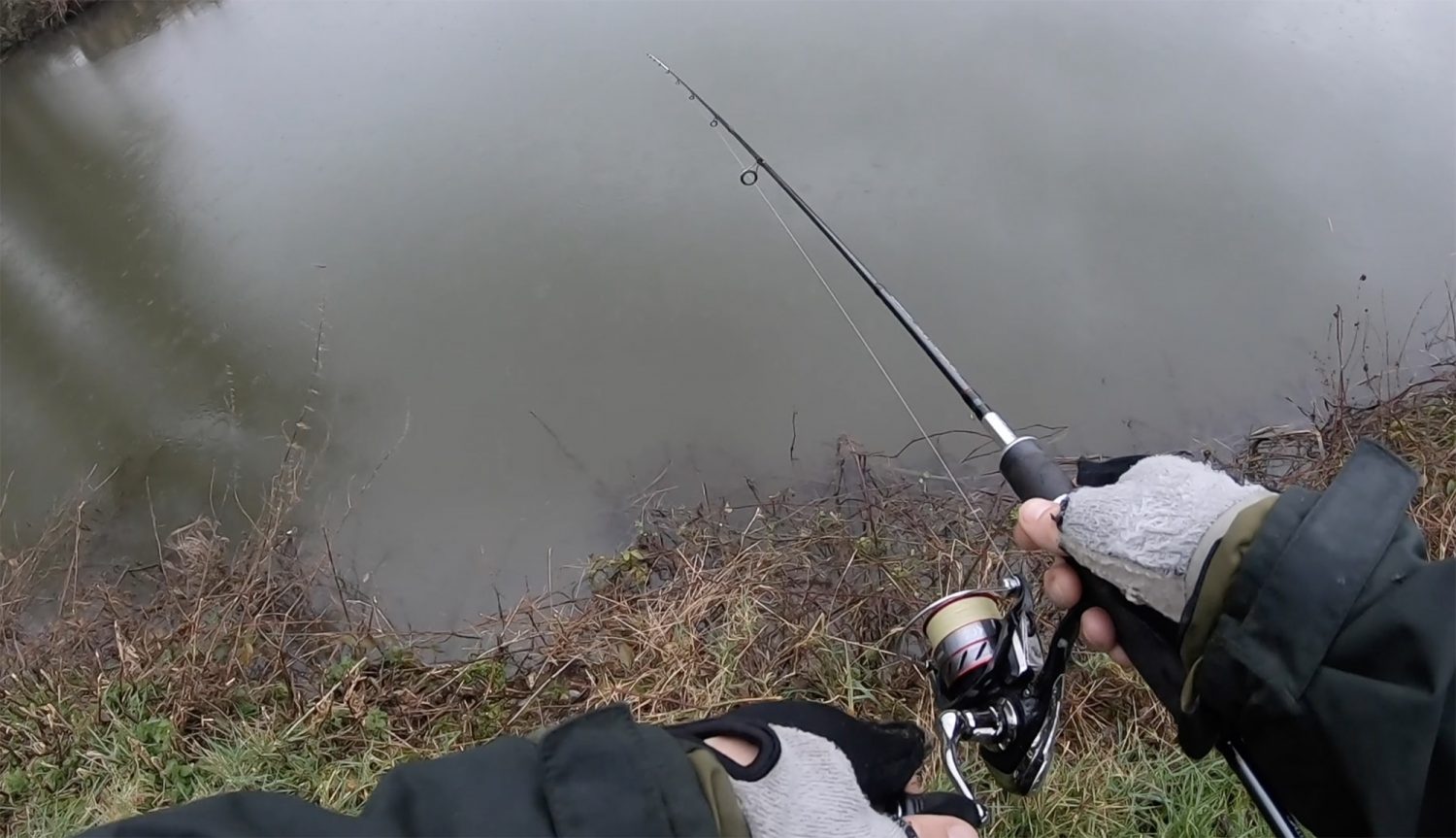 Perch Fishing The Ned Rig - Finesse tackle and approach