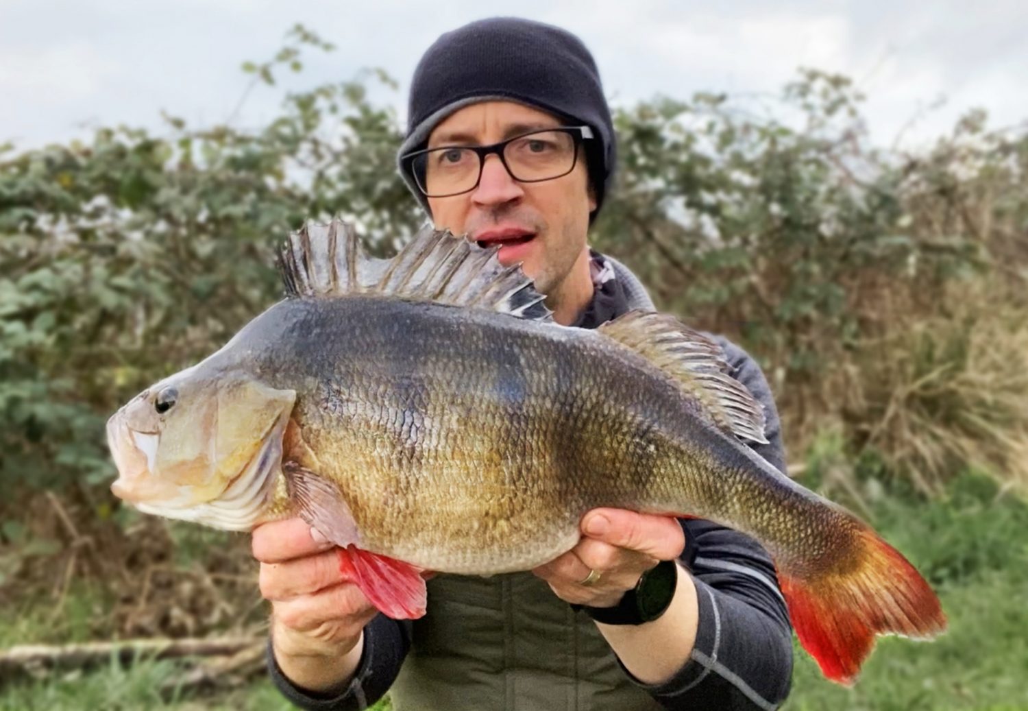 Perch Fishing The Ned Rig - Finesse tackle and approach