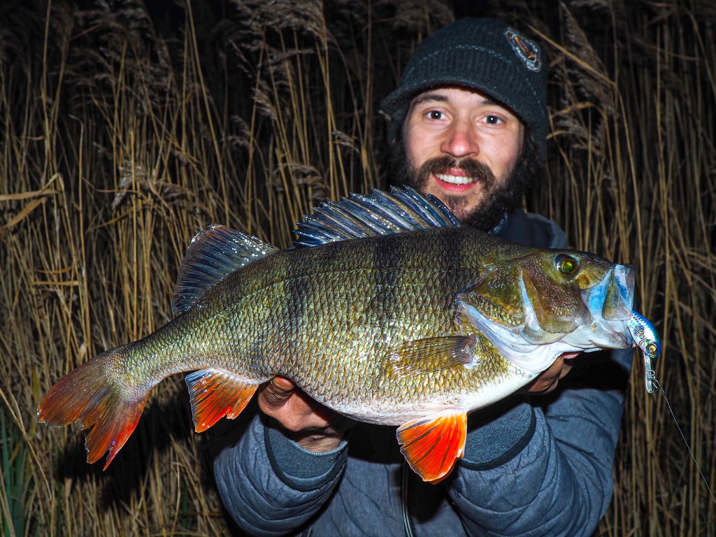 Robbie Northman Perch Fishing Masters - Lures and Top Tips - Life