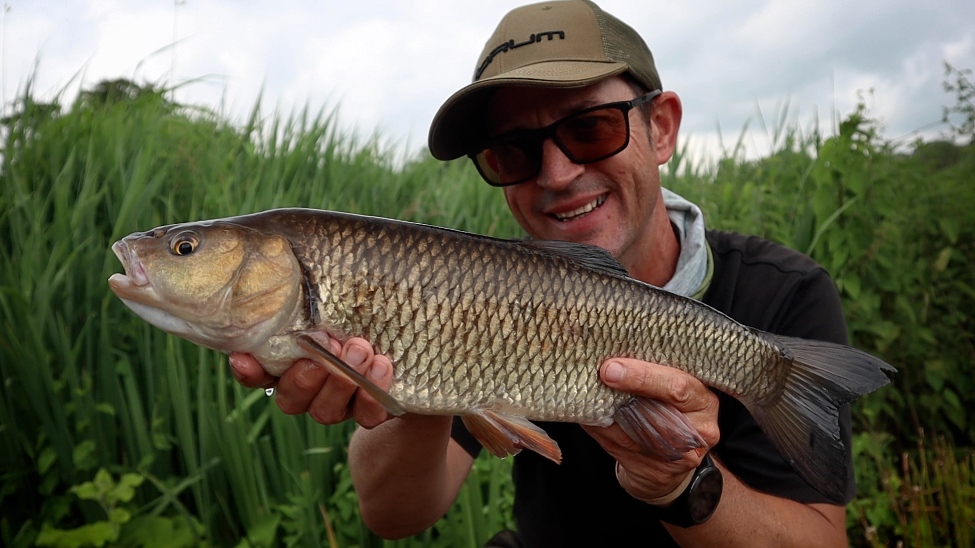 Chub and barbel fishing on small rivers - Life on the bank