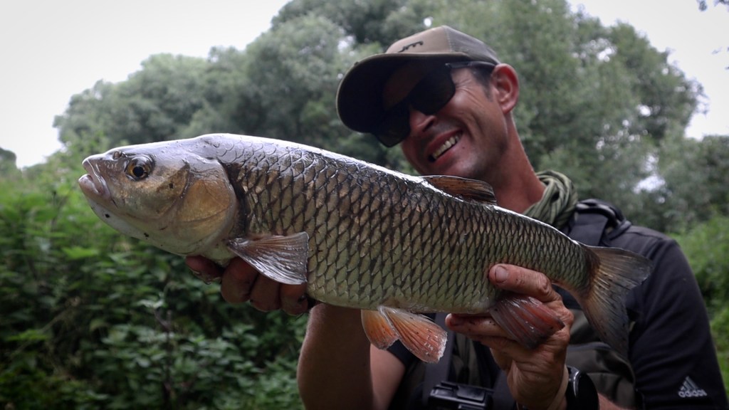 chub fishing on the river