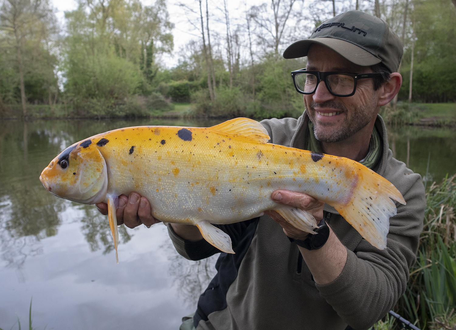 Early Spring Tench Tactics