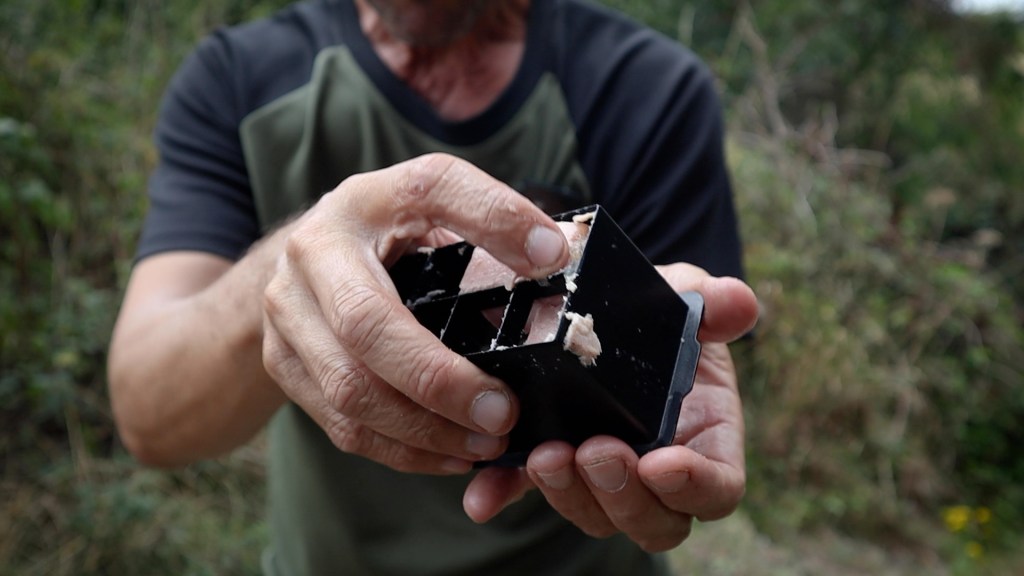 Meat Fishing for Barbel Korum