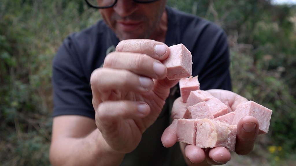 Barbel Fishing with Meat and Pellet